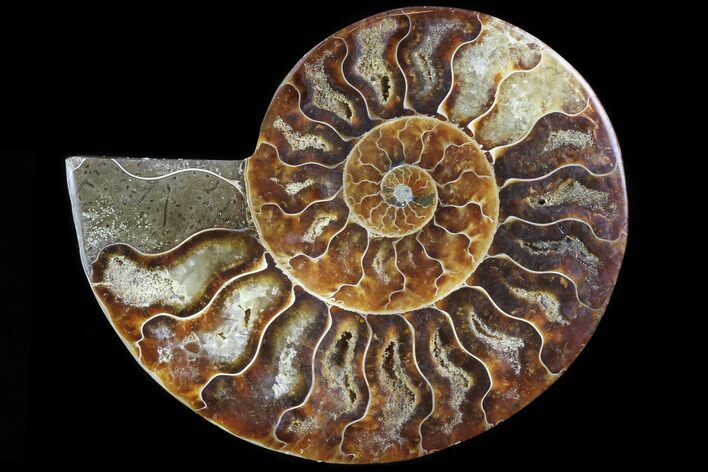Agatized Ammonite Fossil (Half) - Madagascar #83788